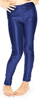 Shimmer Legging in Navy