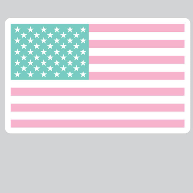 USA Flag-Pink Sticker